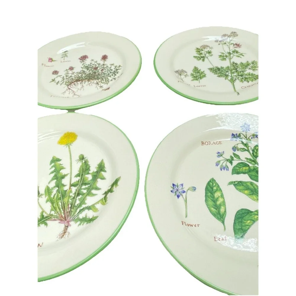 WILLIAMS SONOMA Set 4 Culinary Herbs Lunch Plate BORAGE Chervil THYME Dandelion